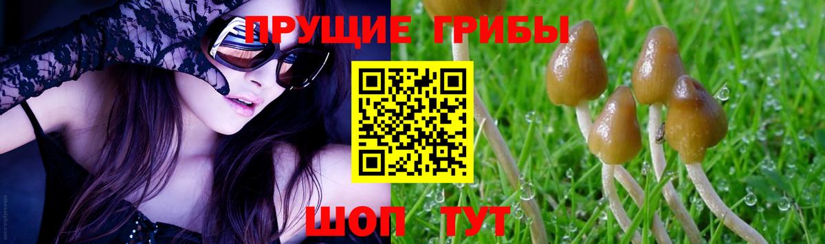 Галлюциногенные грибы GOLDEN TEACHER Коломна